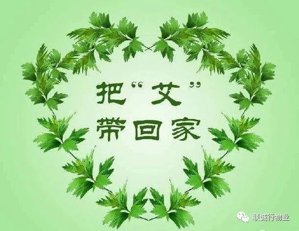 株株“愛意”（艾葉）草”，綿綿情意長(zhǎng)